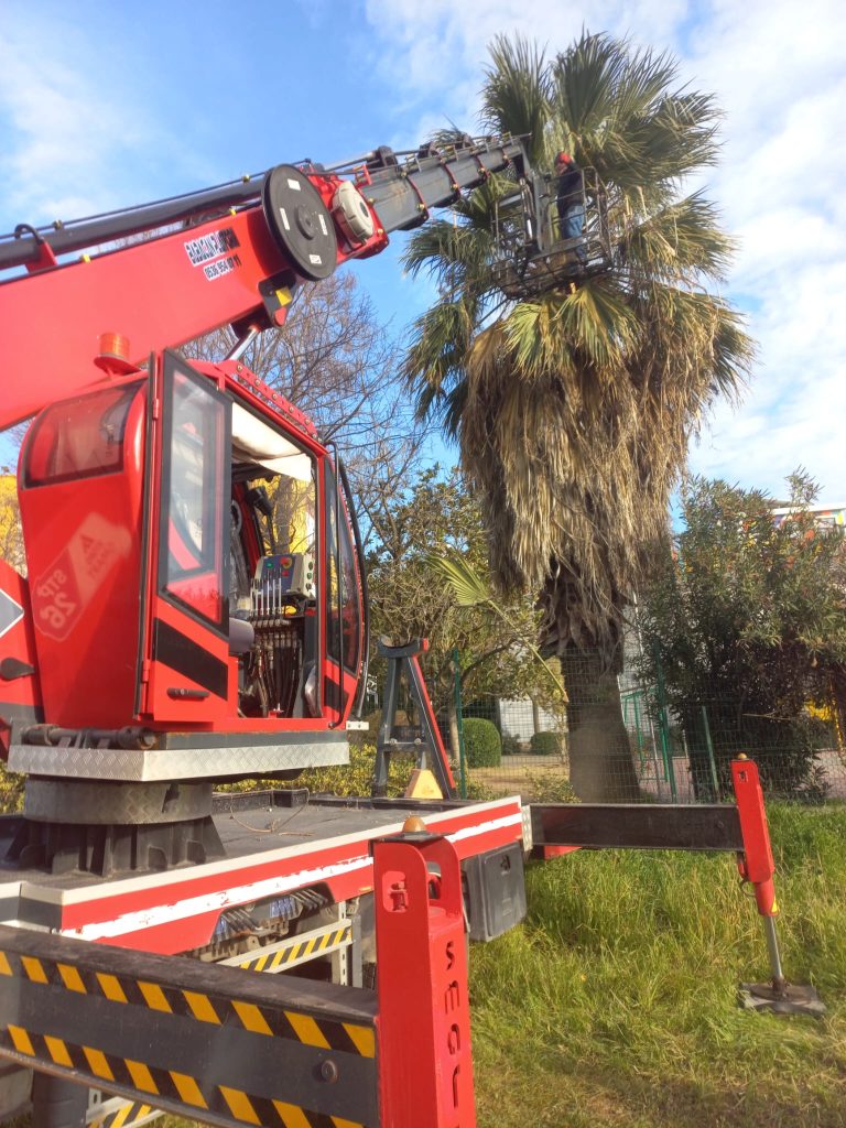 whatsapp image 2026 02 17 at 16.01.51.jpeg